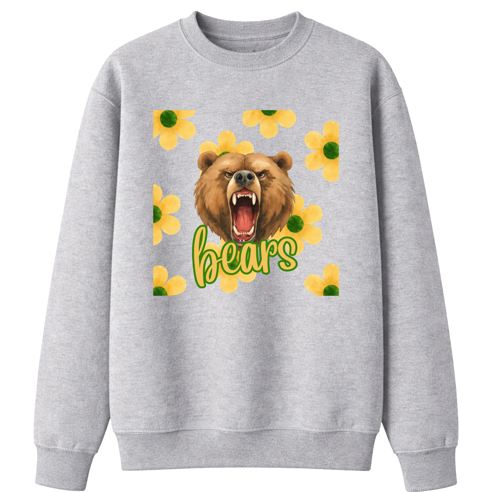Collegiate Sweatshirts