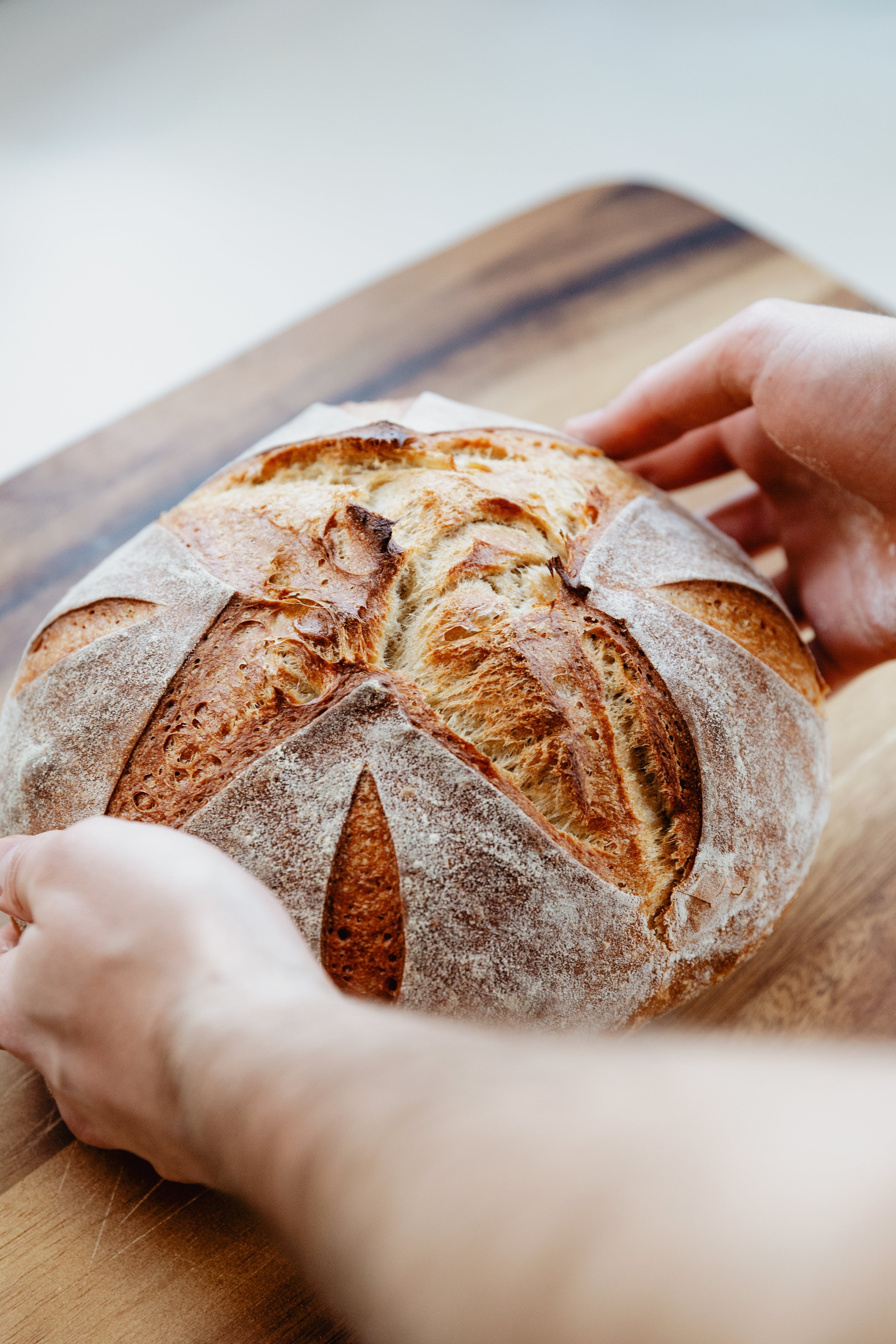 My Daily Bread Co.
